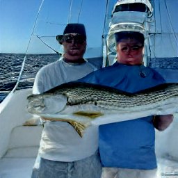 fishing charters	